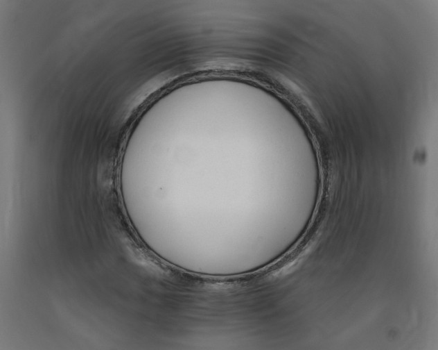 X0000091901017200710031818