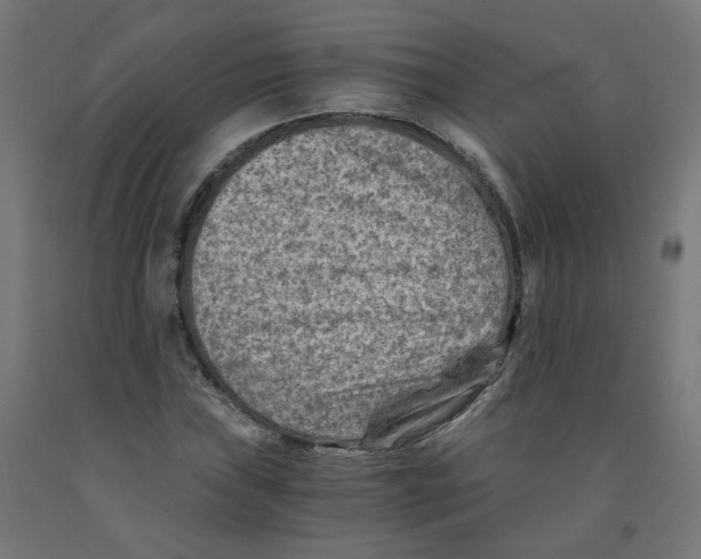 X0000091901019200710031818