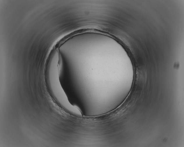 X0000091901020200710031818