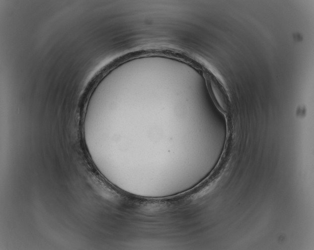 X0000091901021200710031818