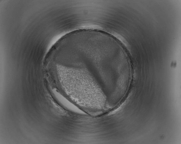 X0000091901022200710031818