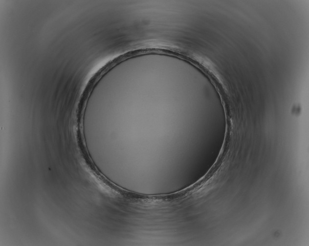 X0000091901024200710031818