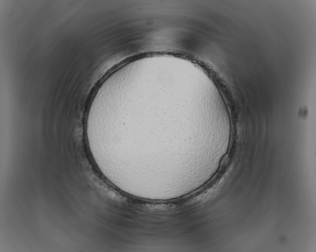 X0000091901025200710031818