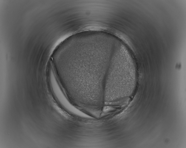 X0000091901026200710031818