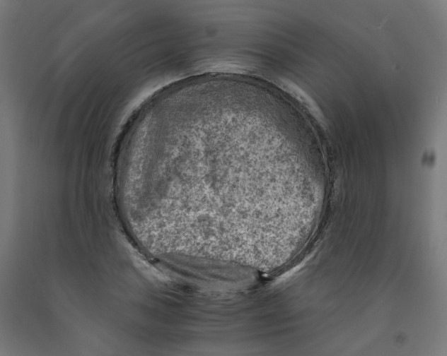 X0000091901027200710031818