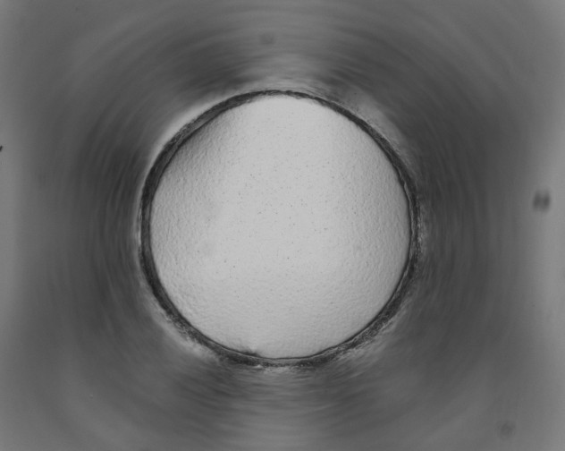 X0000091901028200710031818