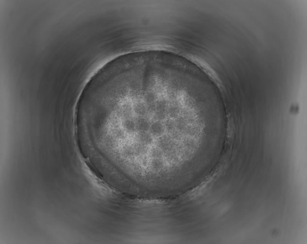 X0000091901031200710031818