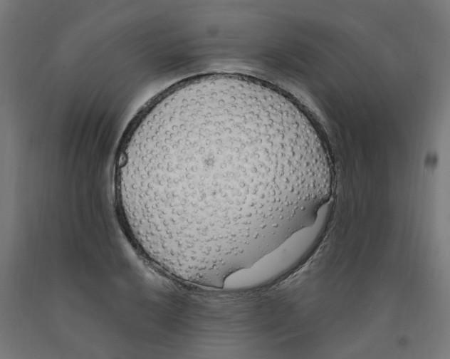 X0000091901032200710031818