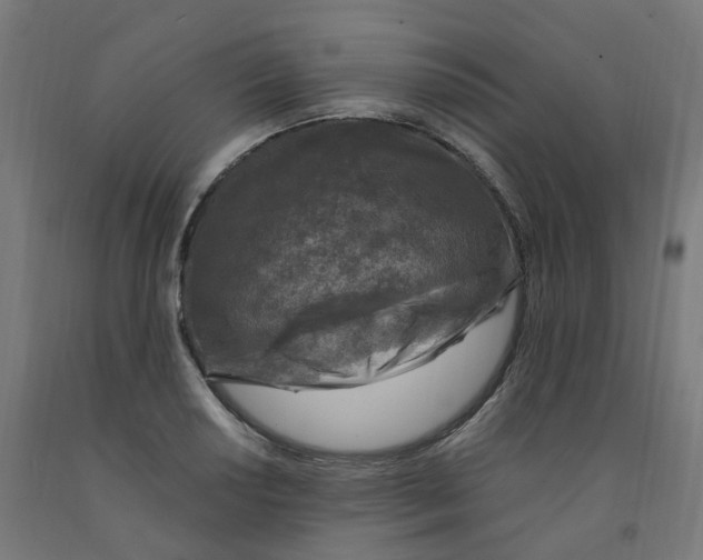 X0000091901034200710031818