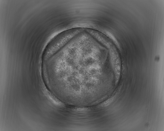 X0000091901035200710031818