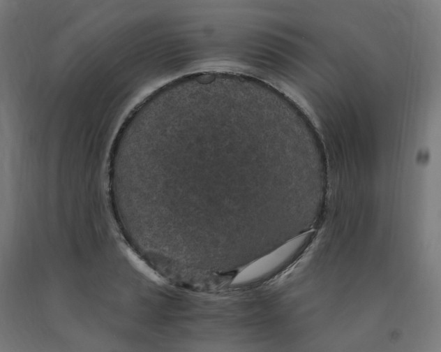 X0000091901037200710031818