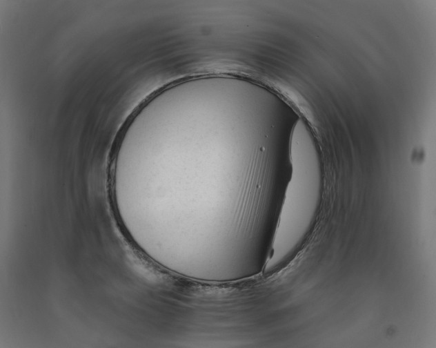 X0000091901039200710031818