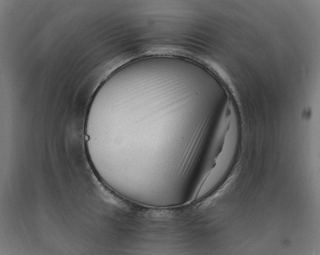 X0000091901041200710031818