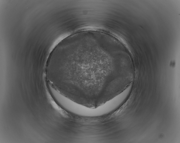 X0000091901042200710031818