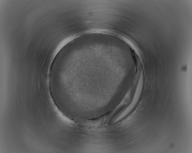 X0000091901050200710031818