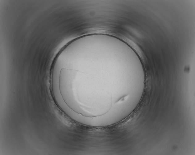 X0000091901051200710031818