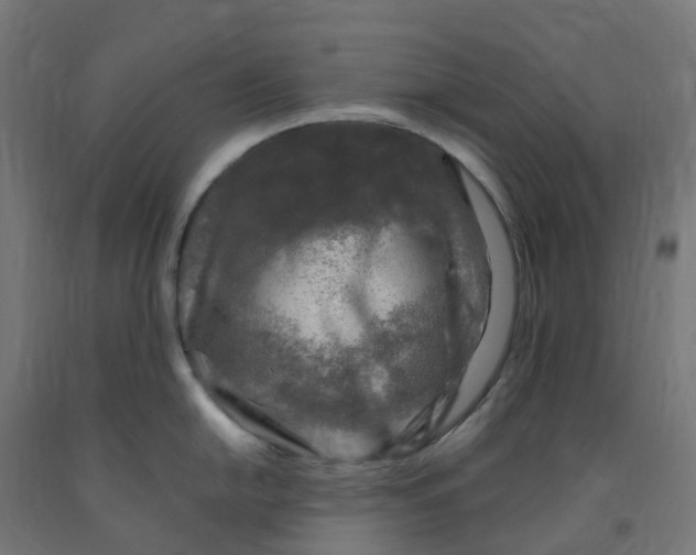 X0000091901054200710031818