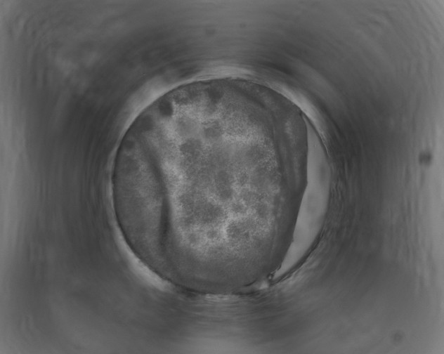 X0000091901055200710031818