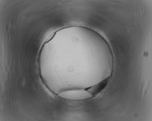 X0000091901056200710031818