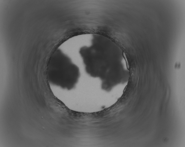 X0000091901057200710031818