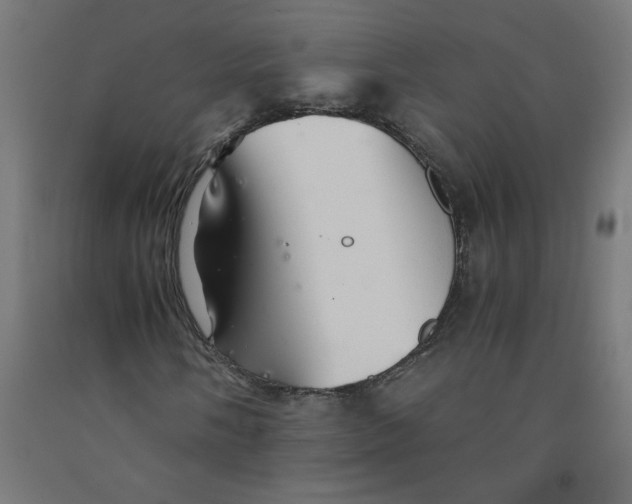 X0000091901058200710031818