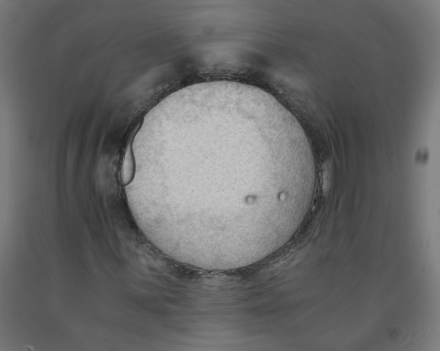 X0000091901059200710031818