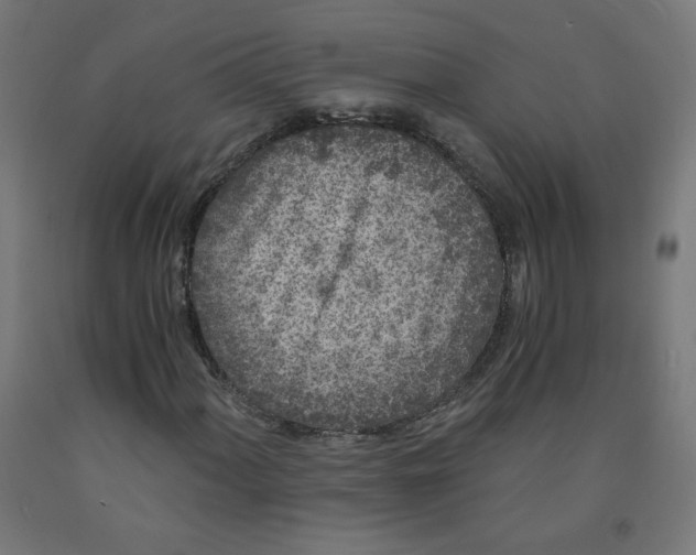 X0000091901060200710031818