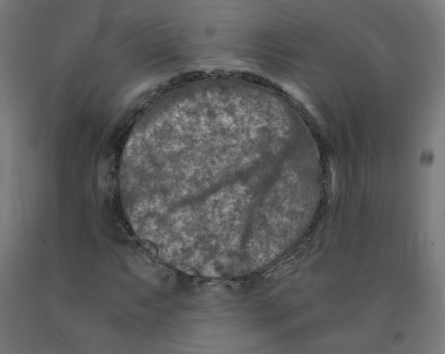 X0000091901063200710031818