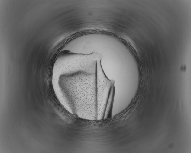 X0000091901064200710031818