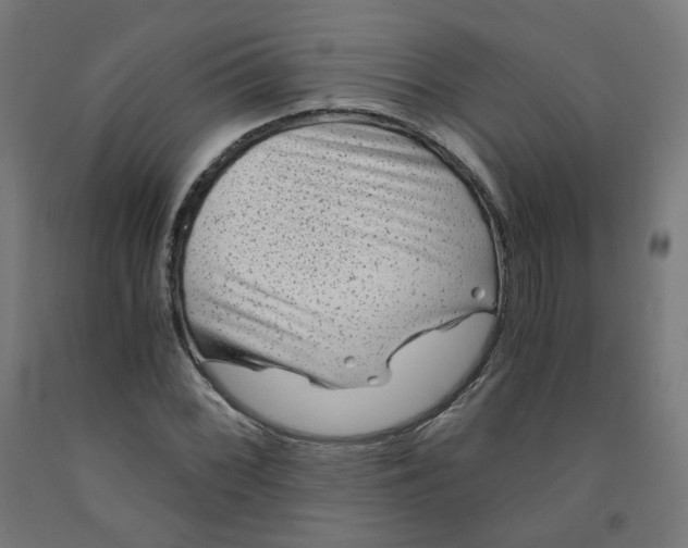 X0000091901068200710031818