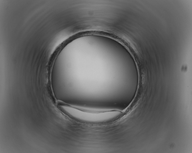 X0000091901069200710031818