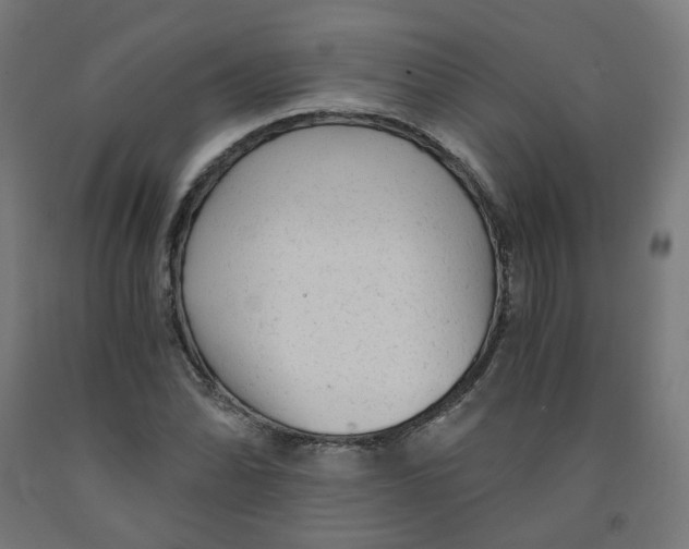 X0000091901070200710031818