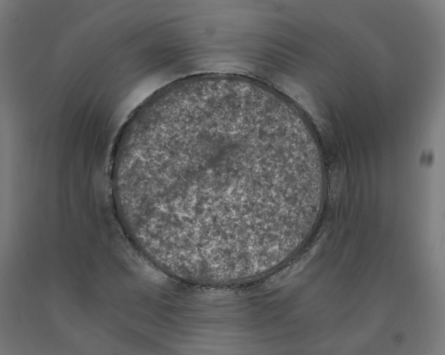 X0000091901071200710031818