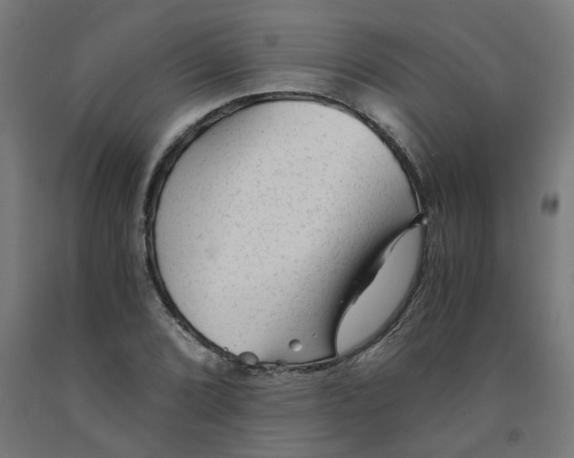 X0000091901072200710031818