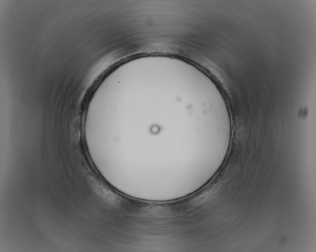 X0000091901075200710031818