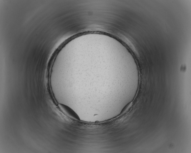 X0000091901076200710031818