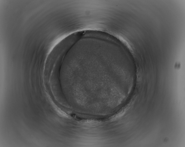 X0000091901077200710031818