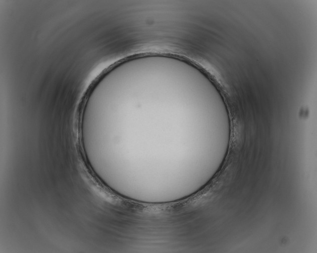 X0000091901078200710031818