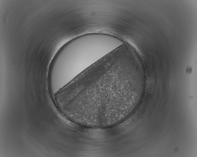 X0000091901079200710031818