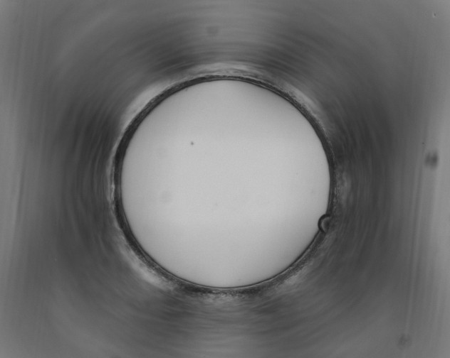 X0000091901082200710031817