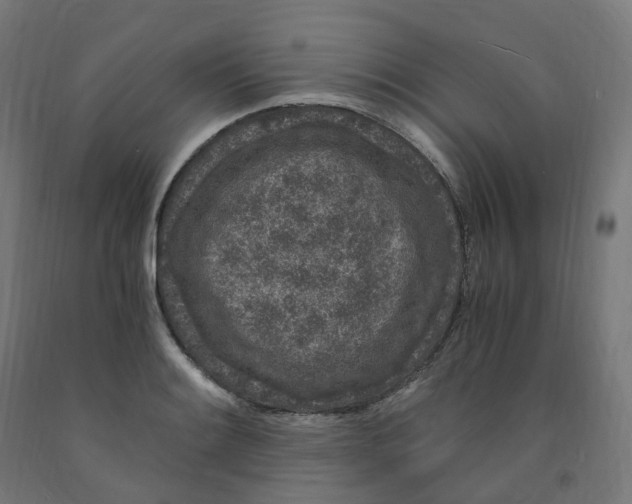 X0000091901084200710031817