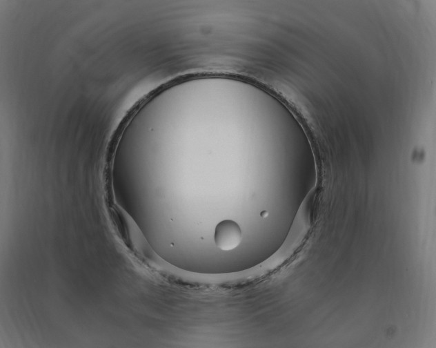 X0000091901085200710031817