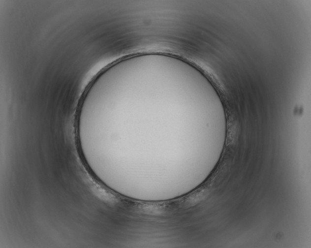 X0000091901086200710031817