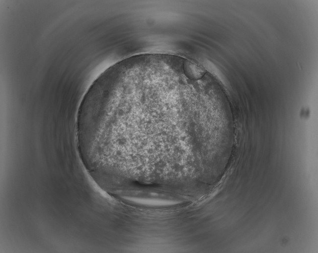 X0000091901087200710031817