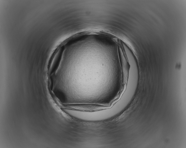 X0000091901088200710031817