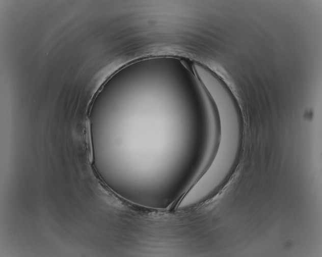 X0000091901089200710031817