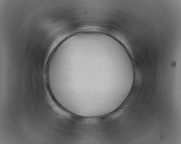 X0000091901090200710031817