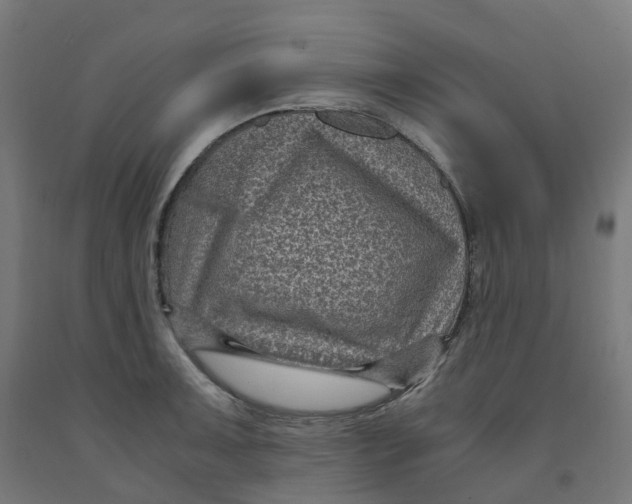 X0000091901091200710031817