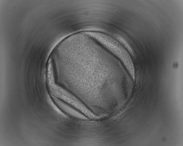 X0000091901092200710031817