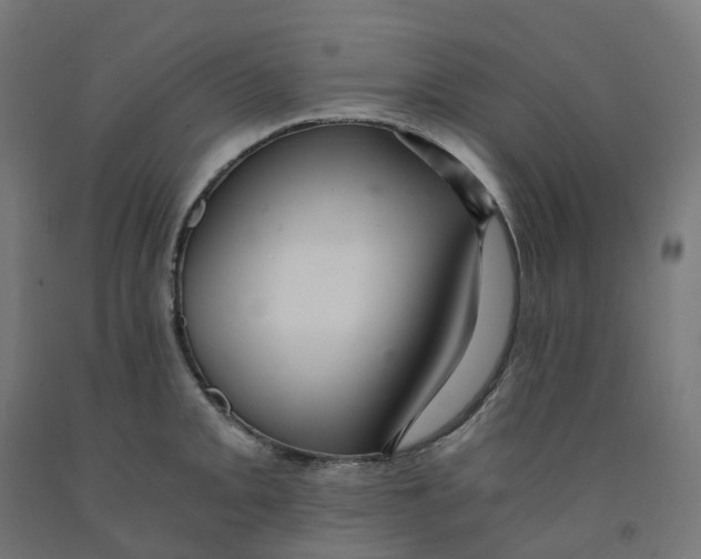 X0000091901093200710031817